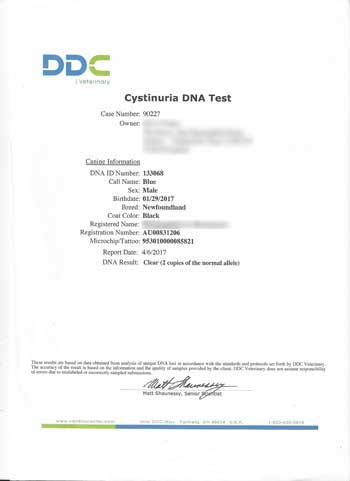 Example DDC report on a Cystinuria test