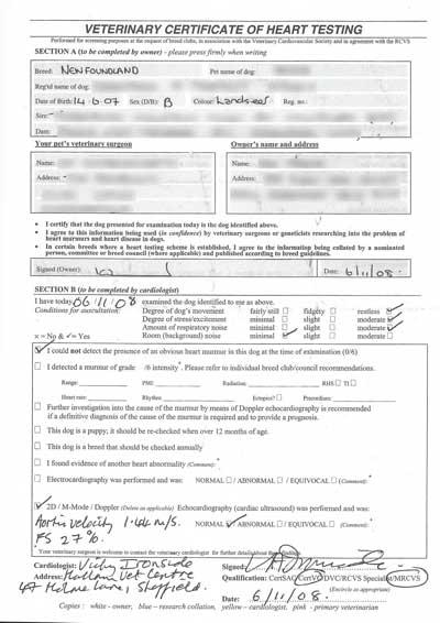 Example of Veterinary Certificate Of Heart Testing