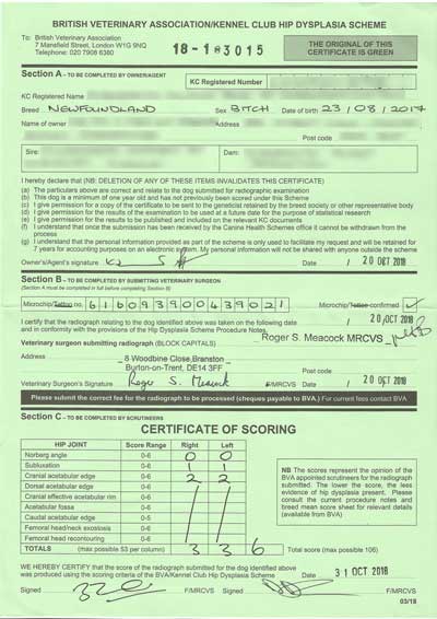 Example of BVA/KC Hip Dysplasia Scheme Certificate