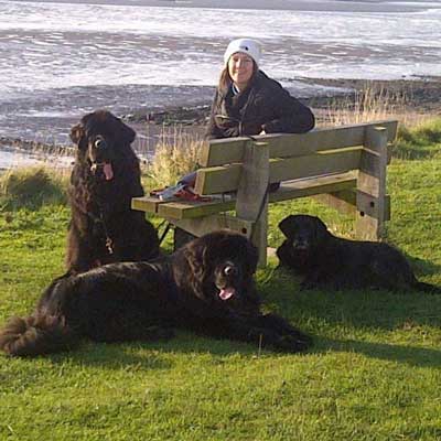 Kirsty and the Shadowrise Newfies
